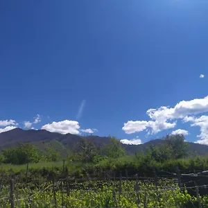 L'orto Del Vesuvio Di Laura Guidone San Sebastiano al Vesuvio